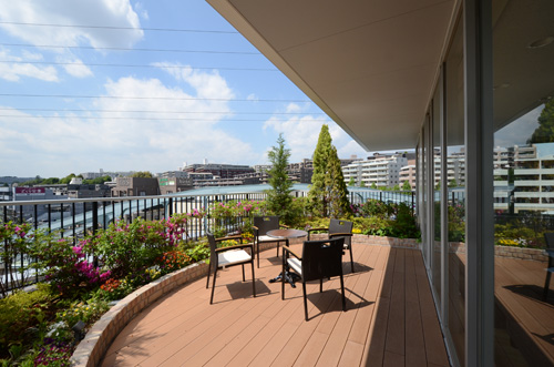 SEIKEN GREEN GARDEN